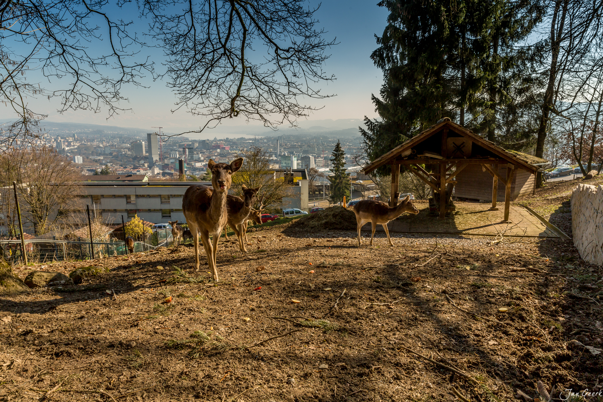 Futterhäuschen Tierpark Waidberg